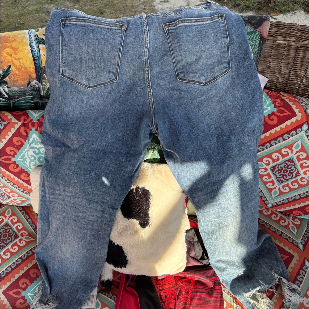 Judy blue 20w jeans